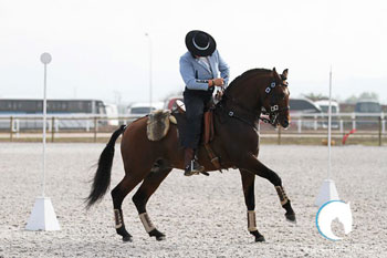 19 Conjuntos disputam a final do Campeonato Nacional de ET 2013