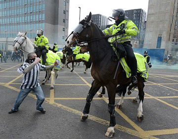 12 Meses de pris&atilde;o para adepto que atacou cavalo (v&iacute;deo)