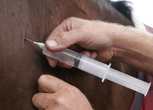 Changes to FEI Equine Prohibited Substances List for 2014