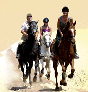 Workshop Técnico «Turismo Equestre - Oportunidades de Desenvolvimento»