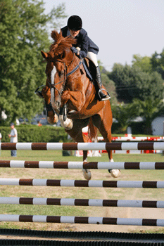 Campeonato de Cavalos Novos 2013 - 2ª Classificativa e Taça das Amazonas