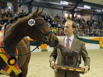 Tanzmusik becomes this years Trakehner Champion Mare