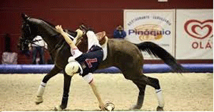 Horseball a caminho da Golegã