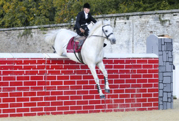 Só na Irlanda onde o Cavalo é Rei... (vídeo)