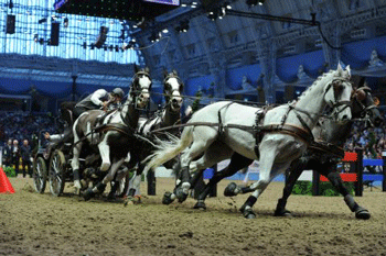 The extreme driving set to thrill spectators at Olympia