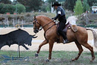 Final do Campeonato de Equita&ccedil;&atilde;o de Trabalho 2013