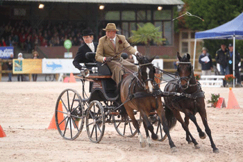 Old and new talents dominate sixth FEI World Driving Championships for Combined Ponies