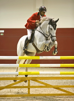 Resultados do Grande Prémio do Concurso “B” do CEIA