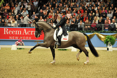 Olympic stars for the Reem Acra FEI World Cup at Olympia