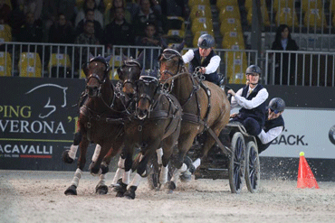 Boyd Exell wins first edition of the FEI World Cup™ Driving in Verona