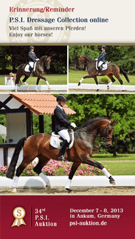Dressage horse collection of the 34th P.S.I. Auction now available online!