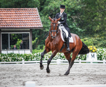 Luiza Tavares de Almeida ganha o Grande Prémio do CDI3* em São Paulo