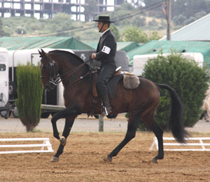 Ta&ccedil;a de Equita&ccedil;&atilde;o de Trabalho na Feira da Goleg&atilde;