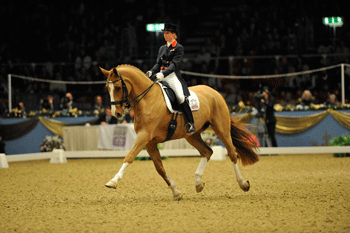 Superstar «Alf» to say farewell at Olympia Horse Show