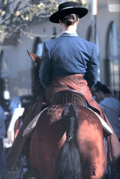 Dressage, Equitação à Portuguesa, Congresso Equino e o Forum da AMVE sãos os destaques para esta quarta-feira na Golegã