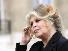Brigitte Bardot apela pelos direitos dos cavalos