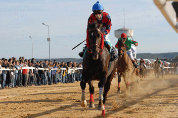 Corridas de Cavalos animaram a Golegã