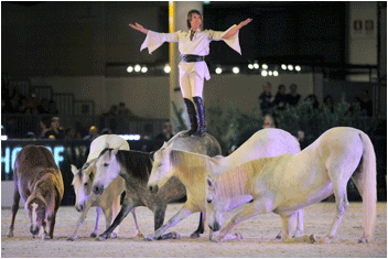 The &laquo;Horsemusic&raquo; Show Opens the Gucci Paris Masters