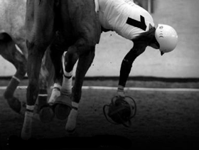 Ranking Horseball: 6 Portugueses no Top 50