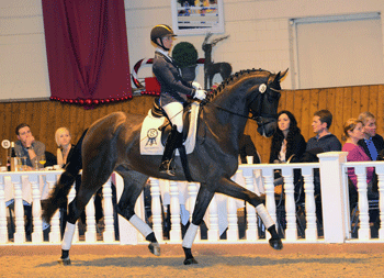 P.S.I. Auction – Multi-Million Investment in Bluetooth and Lannaro