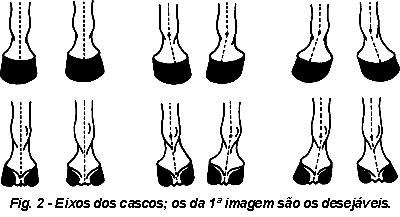 108801186567ferra2-1