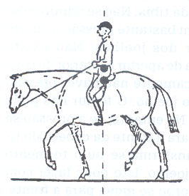 Desenho de um cavalo em pé visto de frente