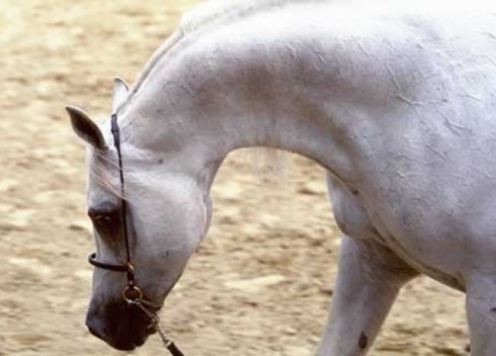 Foto: (c) Gabriele Boiselle