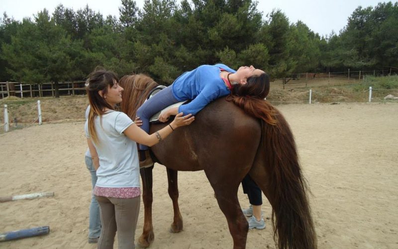 Terapia Equina Relacional : A cura com o Cavalo