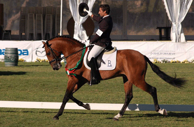 Lusitanos na berlinda Internacional