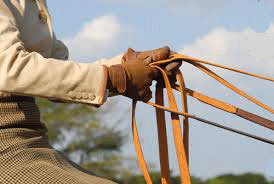 FEP promove treinos de Atrelagem em 2014