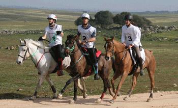 I Festival de Endurance de &Eacute;vora