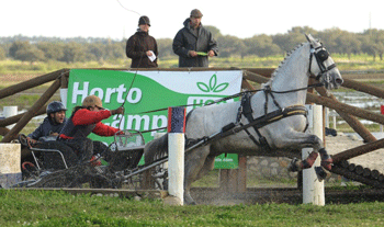 Filipa Apolin&aacute;rio e Eduardo Ribeiro vencedores da Ta&ccedil;a Dr. Manuel Abecassis 2013