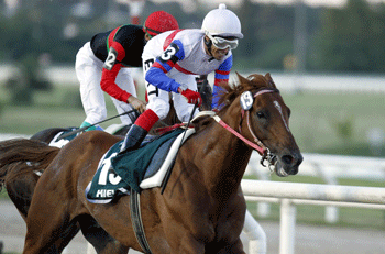 Cavalo brasileiro ganha o Grande Prémio Ramírez no Uruguai (vídeo)