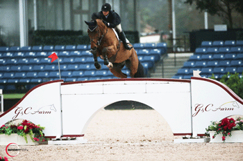 Adrienne Sternlicht and Quidam MB Win First Class of the 2014 FTI Consulting Winter Equestrian Festival