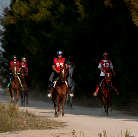 Sofia Sim&otilde;es com &laquo;Chico&raquo; ganha o 38&ordm; Raid H&iacute;pico dos Reis na Barroca