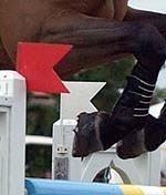 Est&aacute;gio para cavaleiros nascidos nos anos de 1993 a 2002 inclusive