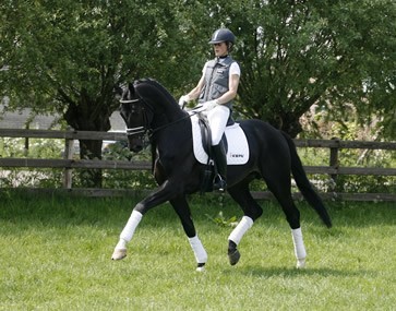 «Aqiedo» para Adelinde Cornelissen
