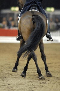 Ordens de Entrada: CDN e Poule em Arruda dos Vinhos