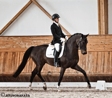 Resultados do CDN em Arruda dos Vinhos