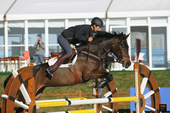 Arrancou a terceira semana de Cavalos Novos em Vilamoura