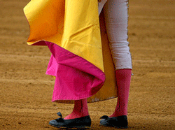 ONU quer limitar participação de crianças portuguesas em touradas