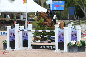 McLain Ward and Wings claim the speed class