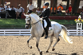 Brazilian Dressage puts on a show in the South American Games in Chile