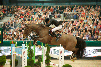 Luciana Diniz a caminho da Holanda