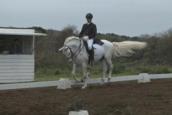 Provas de apuramento para o Regional e Taça de Dressage dos Açores (VÍDEO)