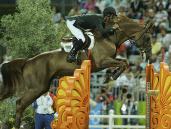 Baloubet du Rouet termina a carreira de reprodutor