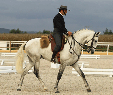 &laquo;Cannabis&raquo; Campe&atilde;o dos Campe&otilde;es da Feira Anual da Trofa 2014 (V&Iacute;DEO)