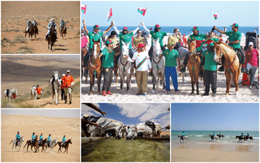 Gallops of Oman : A First Success