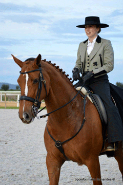 Resultados da 1&ordf; Jornada do Campeonato Regional de Equita&ccedil;&atilde;o de Trabalho – Goleg&atilde;