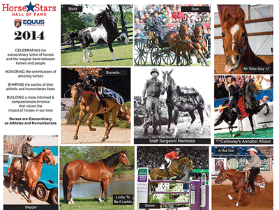 Horse Stars Hall of Fame Celebrates 2014 Inductees